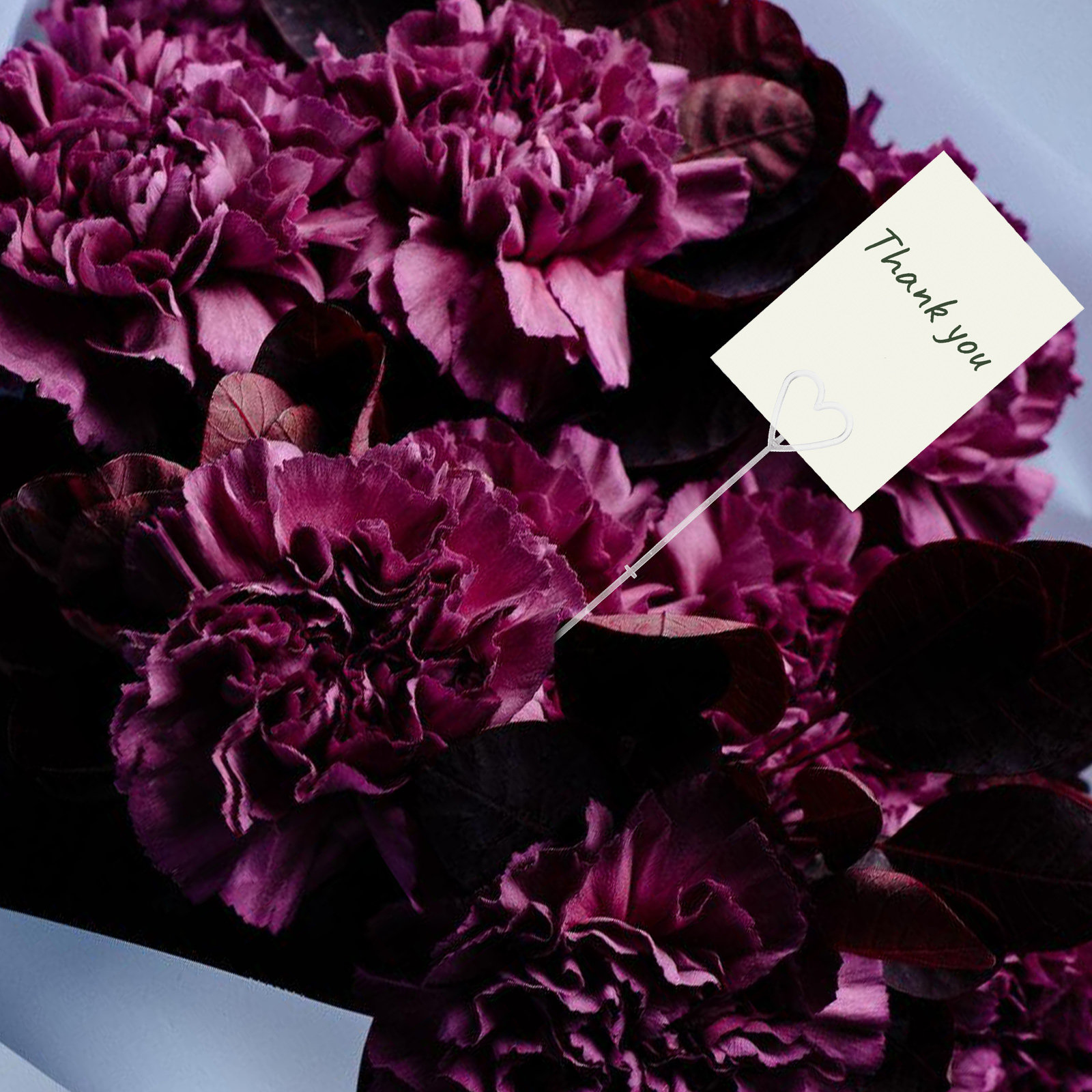 80 قطعة من حاملات البطاقات الز - مراجعة Wedding Supply Decor وسعره
