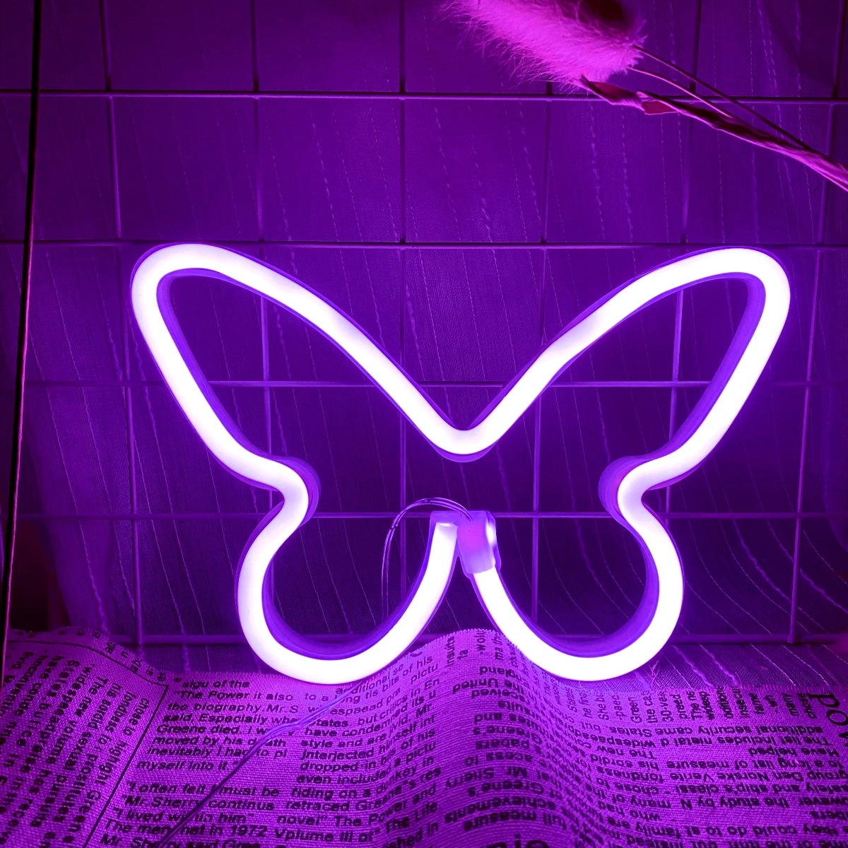 أضواء نيون على شكل فراشة LED،  - مراجعة Wedding Power Supply وسعره